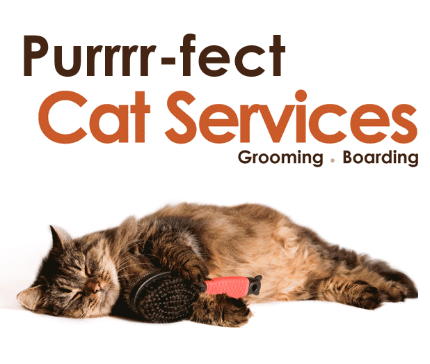 Boondocks Pet Resort Offers