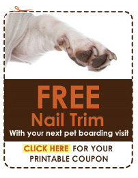 Boondocks Coupons
